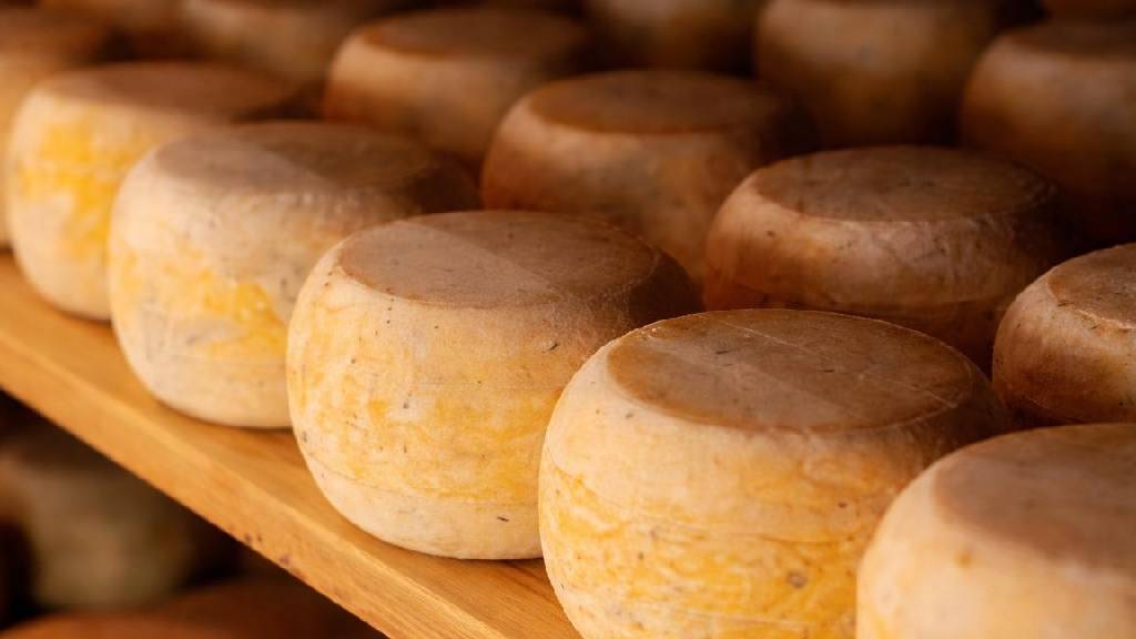 Produtores de Aracruz participam da eleição de queijos artesanais do Espírito Santo