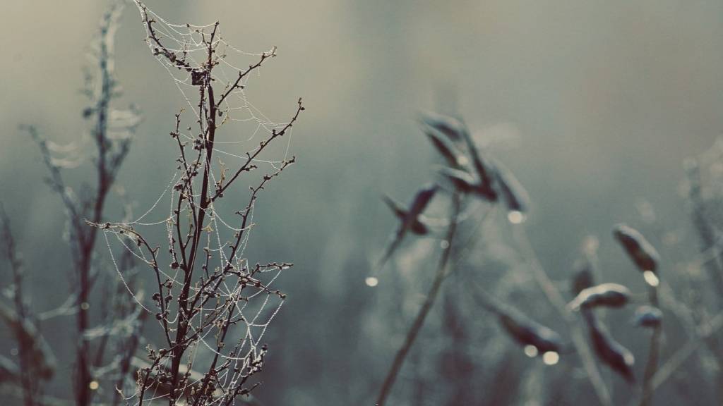 Frio, chuva, chance de geada e temperaturas próximas de 0°C: confira a previsão do tempo