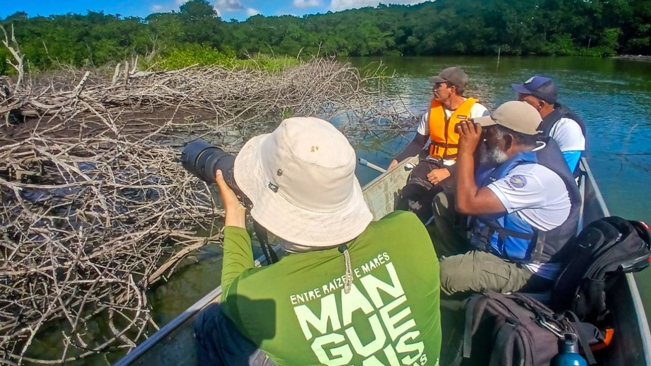 Expedição revela manguezais pouco conhecidos no município de Serra