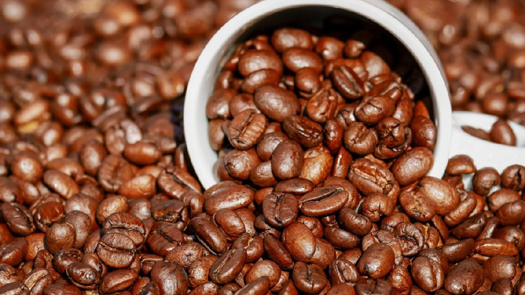 Café brasileiro é “insubstituível” nos EUA, após batalha contra tarifaço