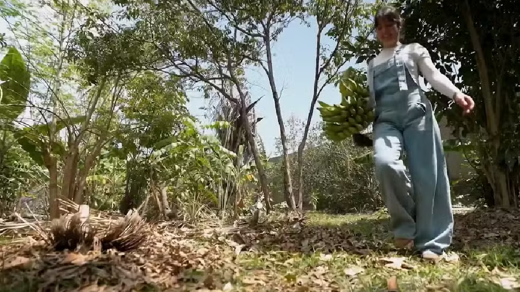 Como uma arquiteta transformou plantas do quintal em marca de cosméticos que fatura R$ 250 mil
