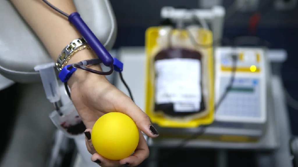 Novas regras para doação de sangue no Brasil: veja o que muda